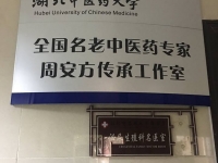 ศึกษาดูงานวันที่ 3 เยี่ยมโรงพยาบาล Guo Yi Tang Hospital of Wuhan #1
