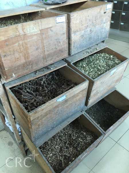 ศึกษาดูงานวันที่ 3 เยี่ยมโรงพยาบาล Yunmeng Hospital of Traditional Chinese Medicine #11